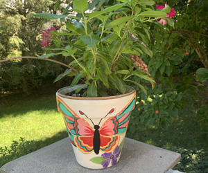 My Patient's Talents butterfly pot