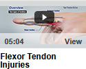 Flexor Tendon Injuries